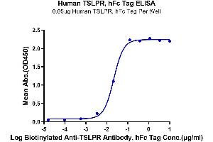 ELISA image for Cytokine Receptor-Like Factor 2 (CRLF2) (AA 25-231) protein (Fc Tag) (ABIN7275803)