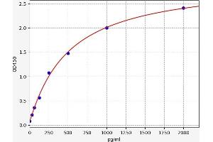 VDAC1 ELISA 试剂盒