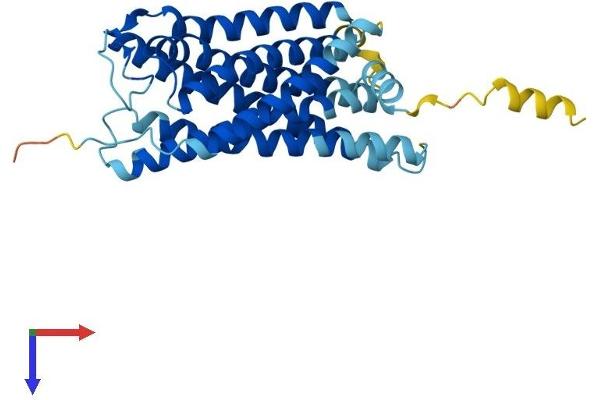 GPR171 Protein (AA 1-319) (His tag)