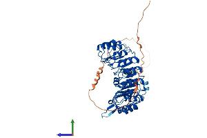 AlphaFold protein structure predicition of Mouse Recombinant Fbxl16 Protein, UniprotID A2RT62