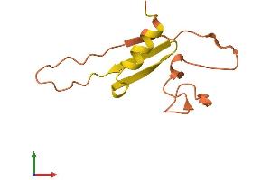 AlphaFold protein structure predicition of Human Recombinant TTTY12 Protein, UniprotID Q9BZ98
