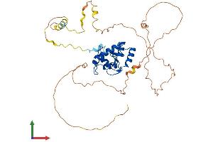 AlphaFold protein structure predicition of Human Recombinant ARFGAP1 Protein, UniprotID Q8N6T3