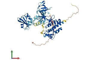 Protein Structure (PS) image for Megakaryocyte-Associated tyrosine Kinase (MATK) (AA 1-505) protein (His tag) (ABIN7563232)