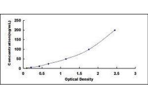 Cartilage Oligomeric Matrix Protein (COMP) ELISA Kit