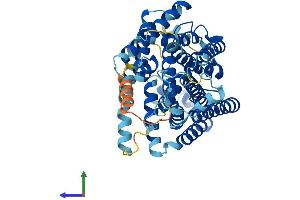 AlphaFold protein structure predicition of Mouse Recombinant Pigw Protein, UniprotID Q8C398