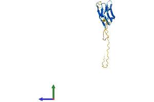 Protein Structure (PS) image for Heat Shock Protein, alpha-Crystallin-Related, B9 (HSPB9) (AA 1-168) protein (His tag) (ABIN7561234)