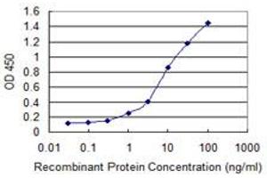 Detection limit for recombinant GST tagged DPP3 is 0. (DPP3 抗体  (AA 1-737))
