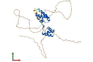 Protein Structure (PS) image for POU Domain, Class 3, Transcription Factor 4 (POU3F4) (AA 1-361) protein (His tag) (ABIN7556611)