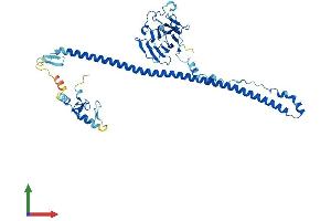 AlphaFold protein structure predicition of Mouse Recombinant Trim62 Protein, UniprotID Q80V85