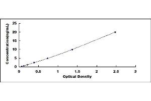 Typical standard curve (ENTPD2 ELISA 试剂盒)