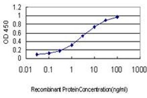 Detection limit for recombinant GST tagged OCLN is approximately 0. (Occludin 抗体  (AA 423-522))