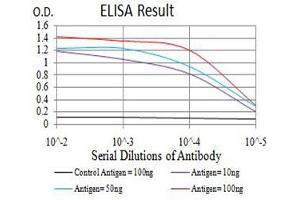 Black line: Control Antigen (100 ng),Purple line: Antigen (10 ng), Blue line: Antigen (50 ng), Red line:Antigen (100 ng) (ROP1 (AA 42-183) 抗体)
