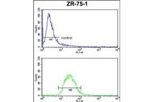 Flow Cytometry (FACS) image for anti-Prostaglandin E Receptor 2 (Subtype EP2), 53kDa (PTGER2) (AA 118-147) antibody (ABIN652808)