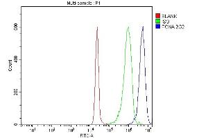 Flow Cytometry analysis of JK cells using anti-PCNA antibody (ABIN7599181).
