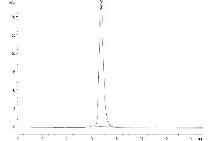 Size-exclusion chromatography-High Pressure Liquid Chromatography (SEC-HPLC) image for V-Erb-A erythroblastic Leukemia Viral Oncogene Homolog 4 (Avian) (ERBB4) (AA 26-651) protein (Fc Tag) (ABIN7274798)