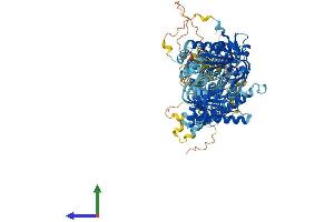 Protein Structure (PS) image for Adenylate Cyclase 7 (Adcy7) (AA 1-1099) protein (His tag) (ABIN7563398)