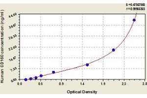 Typical Standard Curve (CD160 ELISA 试剂盒)