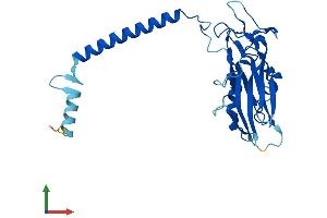 Protein Structure (PS) image for ATPase, Na+/K+ Transporting, beta 3 Polypeptide (ATP1B3) (AA 1-278) protein (His tag) (ABIN7556796)
