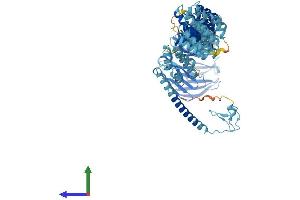Protein Structure (PS) image for Transforming Growth Factor, beta Receptor Associated Protein 1 (TGFBRAP1) (AA 1-860) protein (His tag) (ABIN7563744)