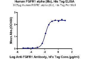 Immobilized Human FGFR1 alpha (IIIc) at 0. (FGFR1 Protein (AA 22-374) (His-Avi Tag))