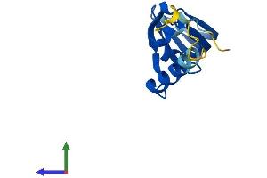 AlphaFold protein structure predicition of Human Recombinant LSM10 Protein, UniprotID Q969L4