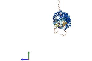 Protein Structure (PS) image for Bardet-Biedl Syndrome 4 (BBS4) (AA 1-519) protein (His tag) (ABIN7552728)