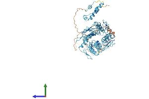 AlphaFold protein structure predicition of Human Recombinant ZNF780A Protein, UniprotID O75290