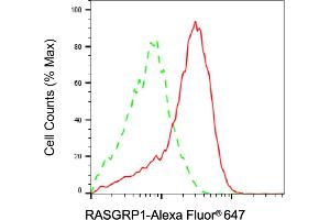 Flow cytometric analysis of RASGRP1 expression in Jurkat cells using RASGRP1 antibody (ABIN7800140), 1:2,000). (Recombinant RASGRP1 抗体)