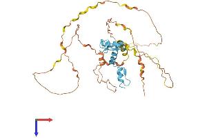 KLF1 Protein (AA 1-362) (His tag)