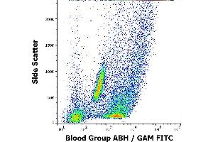 Flow cytometry surface staining pattern of human peripheral whole blood from group A donor stained using anti-blood group ABH (HE-10) antibody (culture supernatant, GAM FITC).