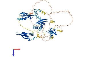 Double-stranded RNA-binding protein Staufen homolog 2 (STAU2) (AA 1-570) protein (His tag)