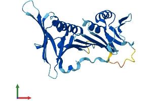 Protein Structure (PS) image for HUS1 Checkpoint Homolog (S. Pombe) (HUS1) (AA 1-280) protein (His tag) (ABIN7554143)