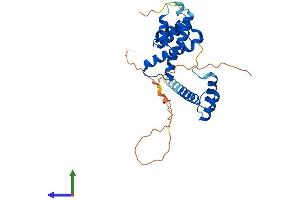 AlphaFold protein structure predicition of Mouse Recombinant Six1 Protein, UniprotID Q62231