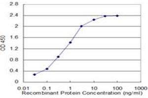 Detection limit for recombinant GST tagged ZFHX4 is approximately 0. (ZFHX4 抗体  (AA 2-93))