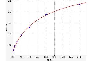 Typical standard curve (BLVRB ELISA 试剂盒)
