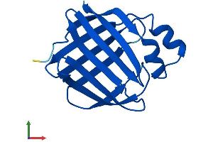 Protein Structure (PS) image for Retinol Binding Protein 7, Cellular (RBP7) (AA 1-134) protein (His tag) (ABIN7551301)
