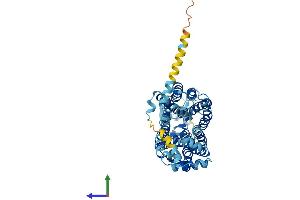Protein Structure (PS) image for Solute Carrier Family 22, Member 20 (SLC22A20) (AA 1-556) protein (His tag) (ABIN7558333)