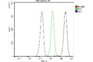 Flow Cytometry analysis of JK cells using anti-GIT1 antibody (ABIN7601683). (GIT1 抗体  (AA 415-736))