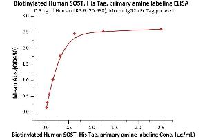 ELISA image for Sclerostin (SOST) (AA 24-213) protein (His tag,Biotin) (ABIN2181783)