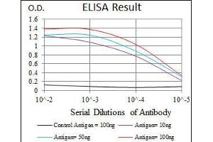 Black line: Control Antigen (100 ng), Purple line: Antigen(10 ng), Blue line: Antigen (50 ng), Red line: Antigen (100 ng), (HSF4 抗体)