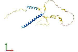 Protein Structure (PS) image for Methyl-CpG Binding Domain Protein 3-Like 2 (MBD3L2) (AA 1-208) protein (His tag) (ABIN7549295)