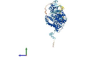 Protein Structure (PS) image for phosphodiesterase 10A (PDE10A) (AA 1-790) protein (His tag) (ABIN7564527)