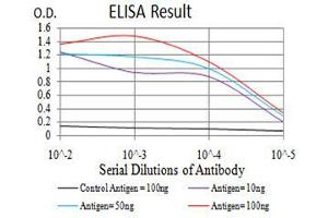 Black line: Control Antigen (100 ng), Purple line: Antigen(10 ng), Blue line: Antigen (50 ng), Red line: Antigen (100 ng), (DDX20 抗体  (AA 725-824))