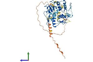 AlphaFold protein structure predicition of Human Recombinant ZNF829 Protein, UniprotID Q3KNS6