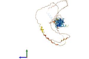 Protein Structure (PS) image for Thyroid Hormone Receptor Interactor 6 (TRIP6) (AA 1-476) protein (His tag) (ABIN7544776)