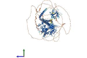 Protein Structure (PS) image for ArfGAP with SH3 Domain, Ankyrin Repeat and PH Domain 1 (ASAP1) (AA 1-1147) protein (His tag) (ABIN7565139)