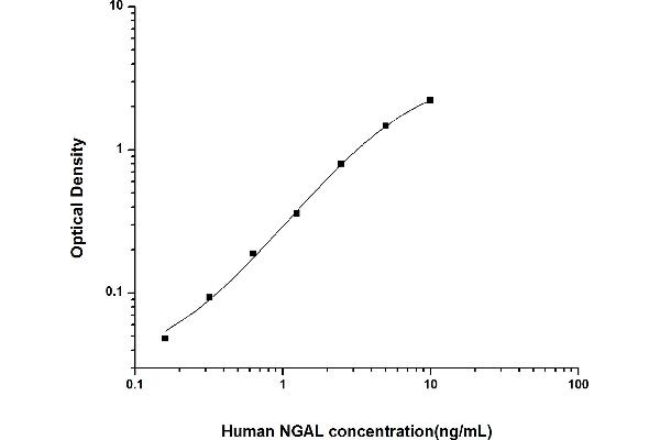 Lipocalin 2 ELISA 试剂盒