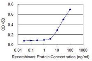 Detection limit for recombinant GST tagged SIRT3 is 3 ng/ml as a capture antibody. (SIRT3 抗体  (AA 297-399))