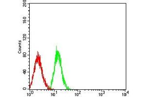 Flow cytometric analysis of HL-60 cells using CD49E mouse mAb (green) and negative control (red). (ITGA5 抗体  (AA 111-253))