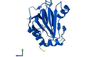 Protein Structure (PS) image for Acireductone Dioxygenase 1 (ADI1) (AA 1-179) protein (His tag) (ABIN7560321)